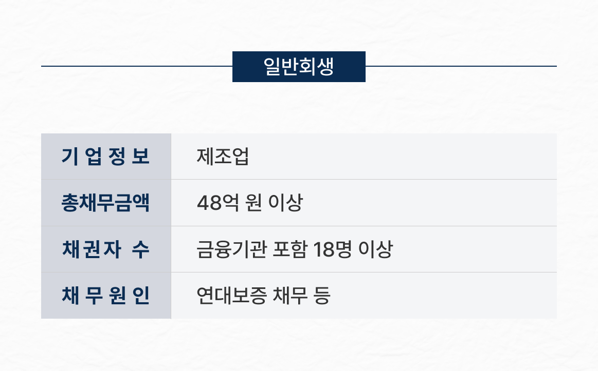 48억 이상 채무 보전처분